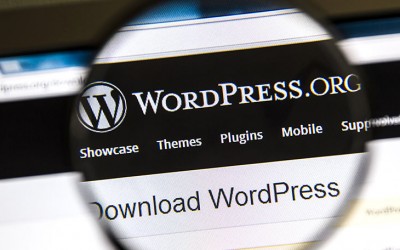Why You Should Be Using Services Like WordPress and Magneto