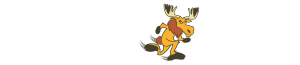 Web Hosting - Fast Moose